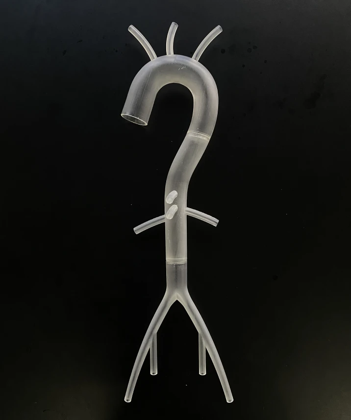 Imagem da portfólio